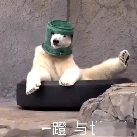 爆料最新角色沙雕图片高清,笑料百出,网友直呼“太可爱” 第1张 爆料最新角色沙雕图片高清,笑料百出,网友直呼“太可爱” 第1张