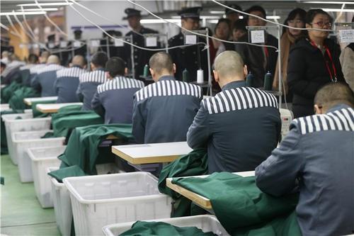 监狱罪犯爆料视频大全,罪犯爆料视频大全深度解析 第1张 监狱罪犯爆料视频大全,罪犯爆料视频大全深度解析 第1张